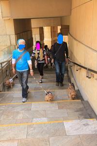 IMG_0258bc.JPG