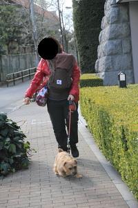 IMG_6690b.JPG