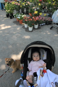 IMG_7266b.JPG