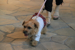 IMG_0348b.JPG
