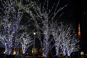 IMG_2772b.JPG