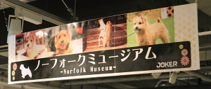 IMG_4527b.JPG