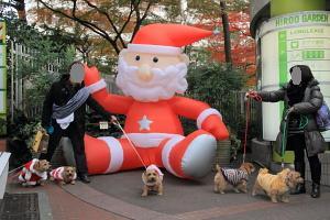 IMG_6309bc.JPG