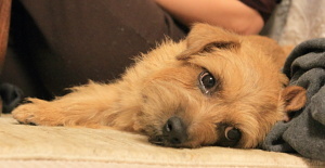 IMG_8286b.JPG
